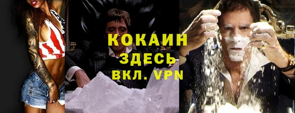 ALPHA PVP Няндома
