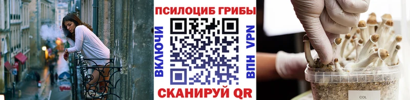 Псилоцибиновые грибы мицелий  что такое   Тосно 